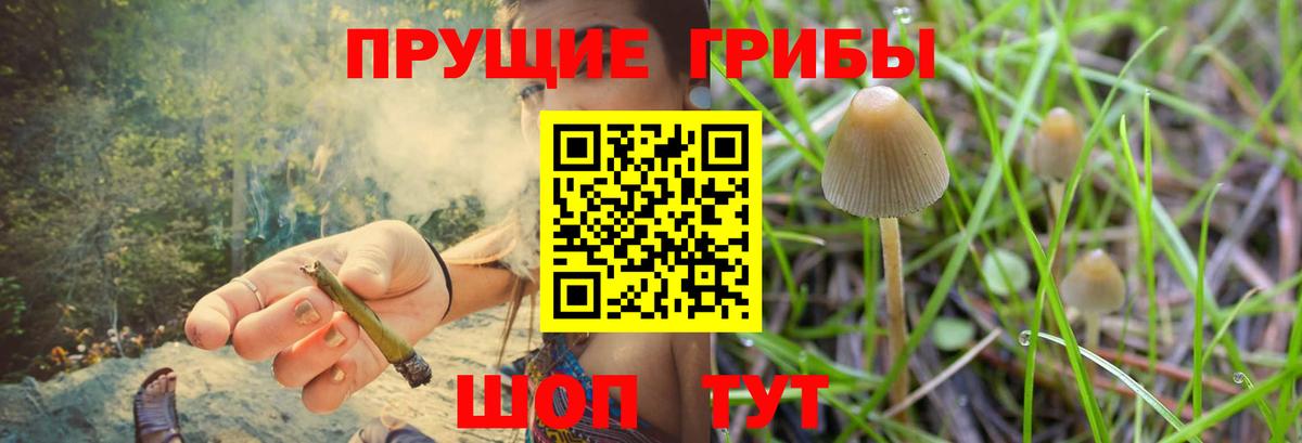 Елизово  Галлюциногенные грибы MAGIC MUSHROOMS  Галлюциногенные грибы Magic Shrooms  Вход с VPN 
